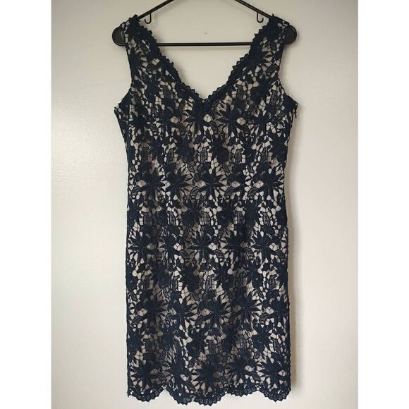 Ann Taylor dress size 4 petite Navy lace tan lining V neck - Picture 1 of 8